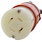 Ac Works SOOW Extension Cord, 12 AWG, Indoor/Outdoor, 12/4, 1 Outlets, L16-20R, Black, Rubber, L16-20P L1620PR-025 - alternate 3